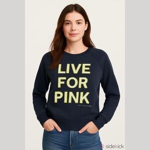PINK Victoria's Secret Sweatshirt Live For Pink Blue Gray Size Small NEW Dog
